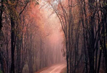 开云下载-热火强势法国男篮，米尔萨普送出助攻，激情碰撞引爆全场！