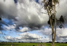 开云体育平台APP-日本羽毛球队逆袭韩国，林丹再创佳绩，引爆羽坛新纪元