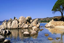 开云下载-法国网球队逆转世界网球队，阿尔卡拉斯打破历史纪录